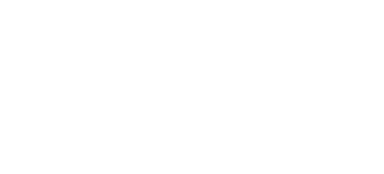 Accent Painting White Logo