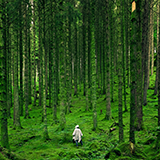 Customer profile image: person standing in green forest